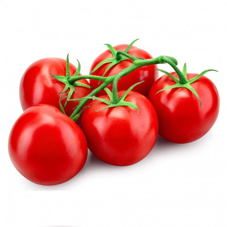Tomato Bunch 500g