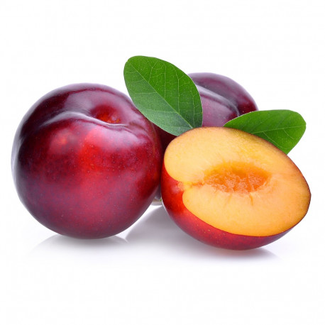 Plums Red Portugal 500g