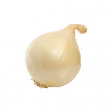 White Onion Spain