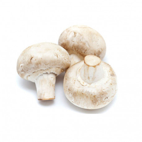 Fresh Mushroom 250g