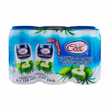 Ice Cool Young Coconut Juice Drink With Pulp  6x310ml