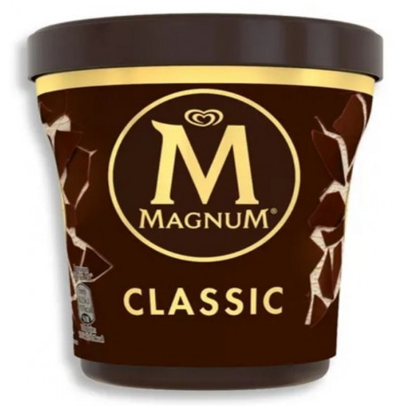 Magnum Ice Cream Pint Classic Cup 440ML